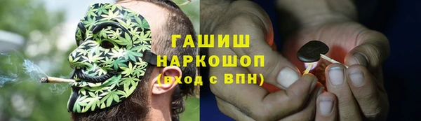 PSILOCYBIN Богданович