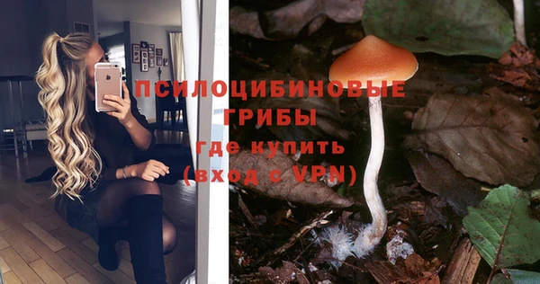 2c-b Богородицк