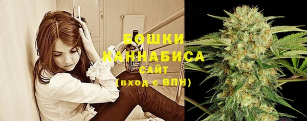 2c-b Богородицк