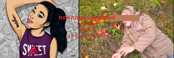 2c-b Богородицк