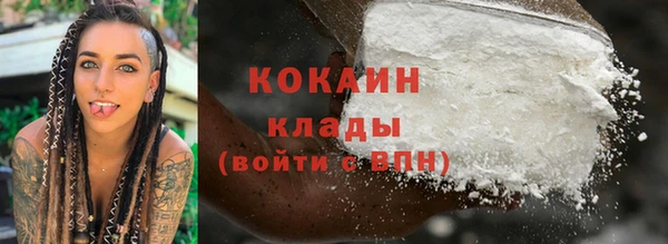 PSILOCYBIN Богданович
