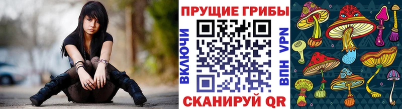 Купить  Полярные Зори  Псилоцибиновые грибы GOLDEN TEACHER 