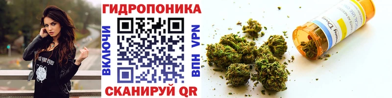 Канабис план Полярные Зори